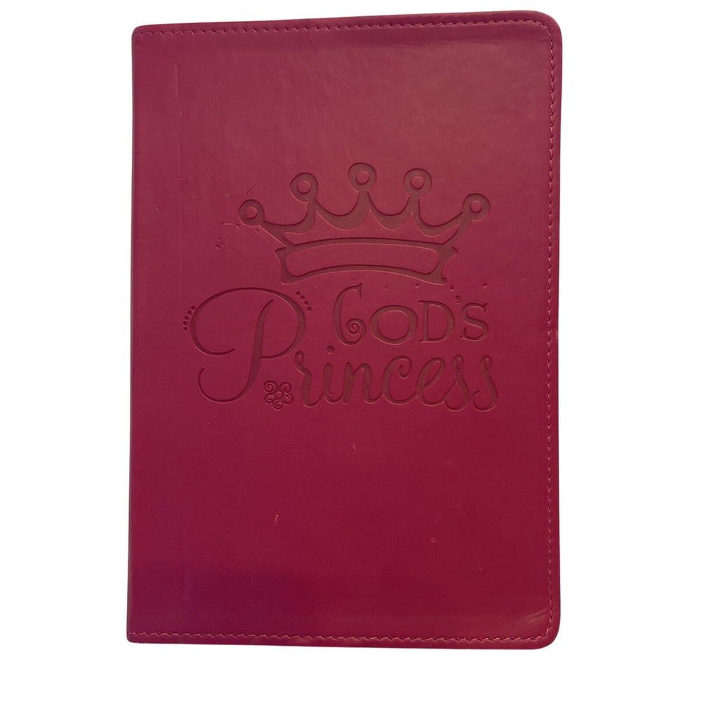 Renewing Minds God's Princess Pink Faux Leather Flex Cover Journal Notebook